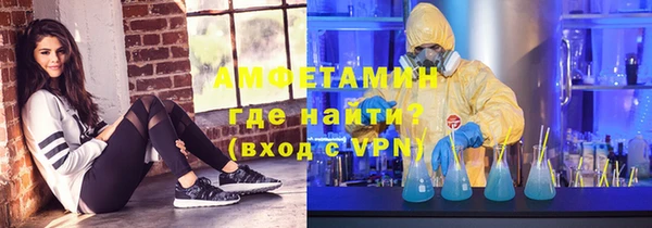 прущие грибы Алзамай