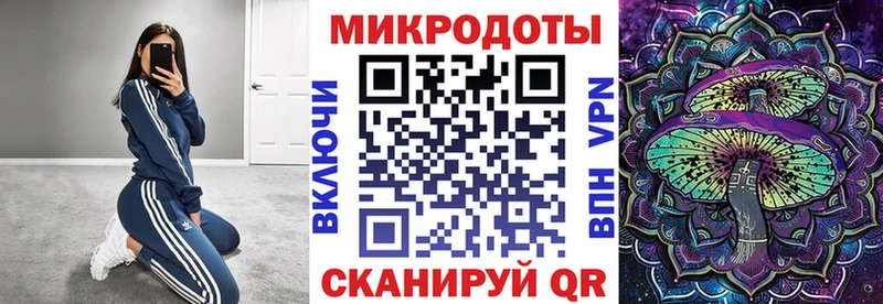 Галлюциногенные грибы Psilocybe  Заозёрный 